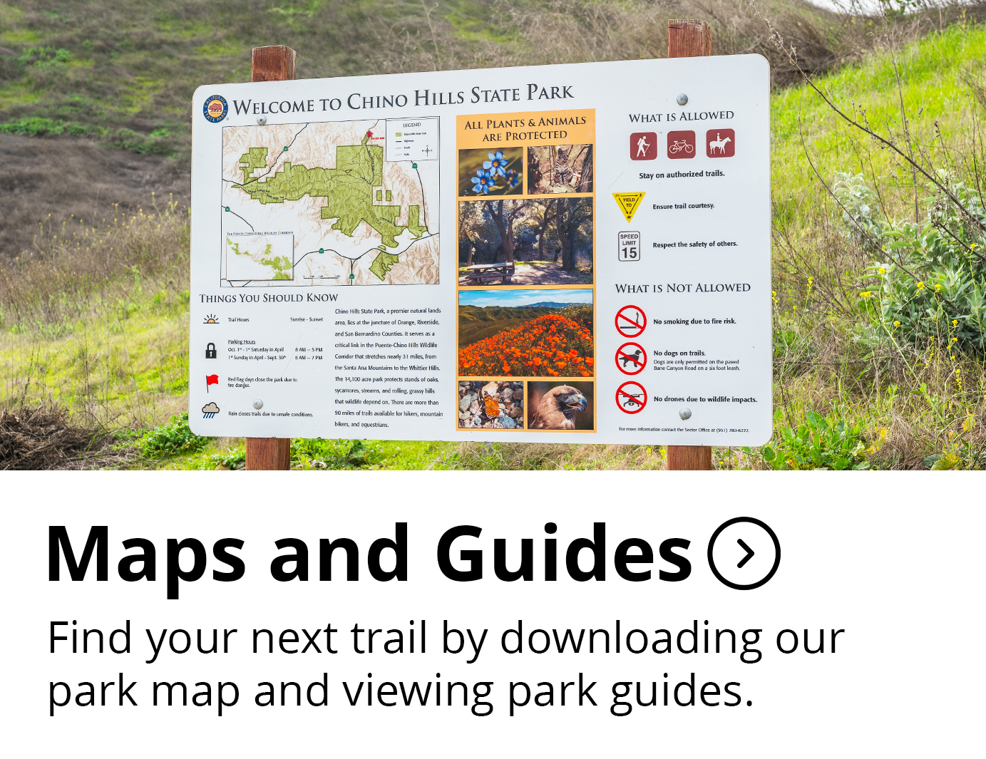 Park Maps Button